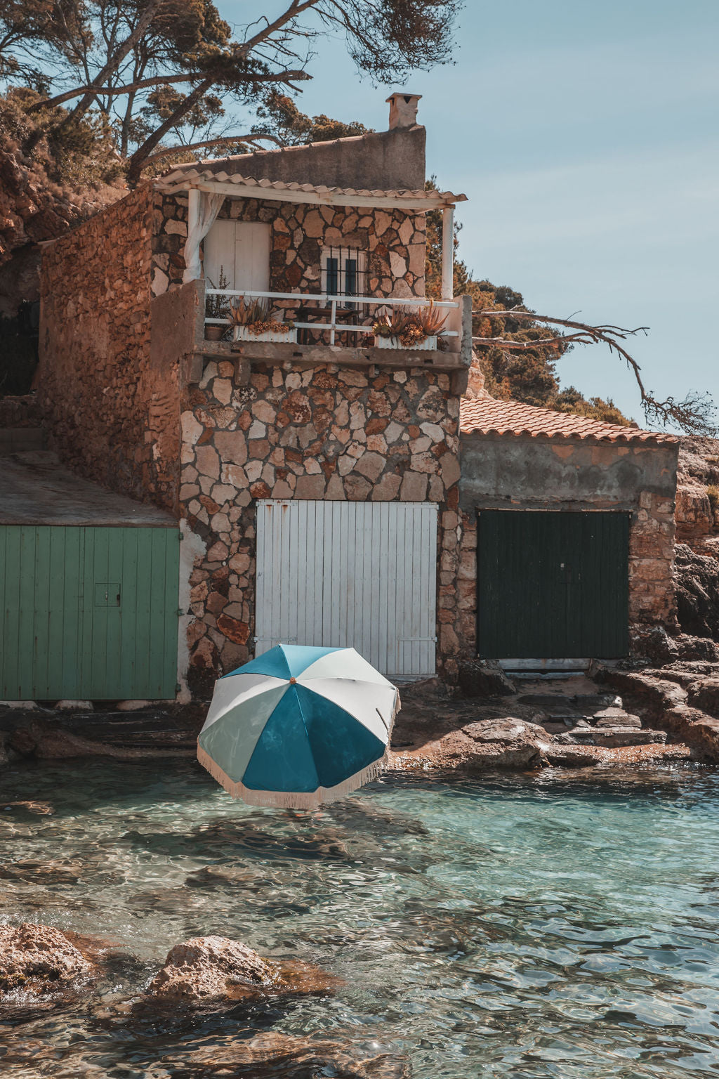 Palmeira Cool Ocean